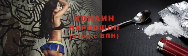 хмурый Пестово