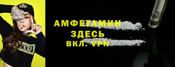 a pvp Пересвет