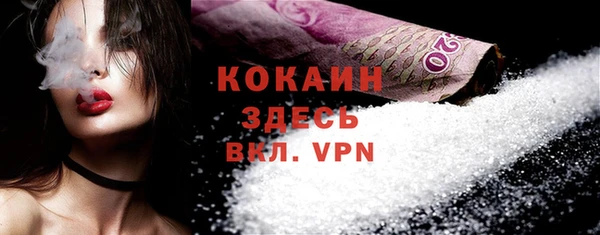 a pvp Пересвет