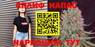 гашик Бийск
