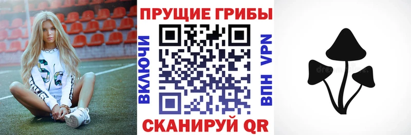 ОМГ ОМГ   Камень-на-Оби  Псилоцибиновые грибы Psilocybe  наркотики 