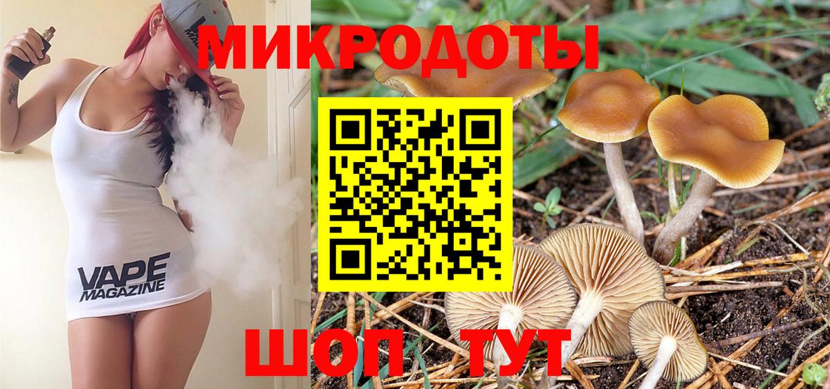 Псилоцибиновые грибы MAGIC MUSHROOMS  Вход с VPN  Камень-на-Оби 