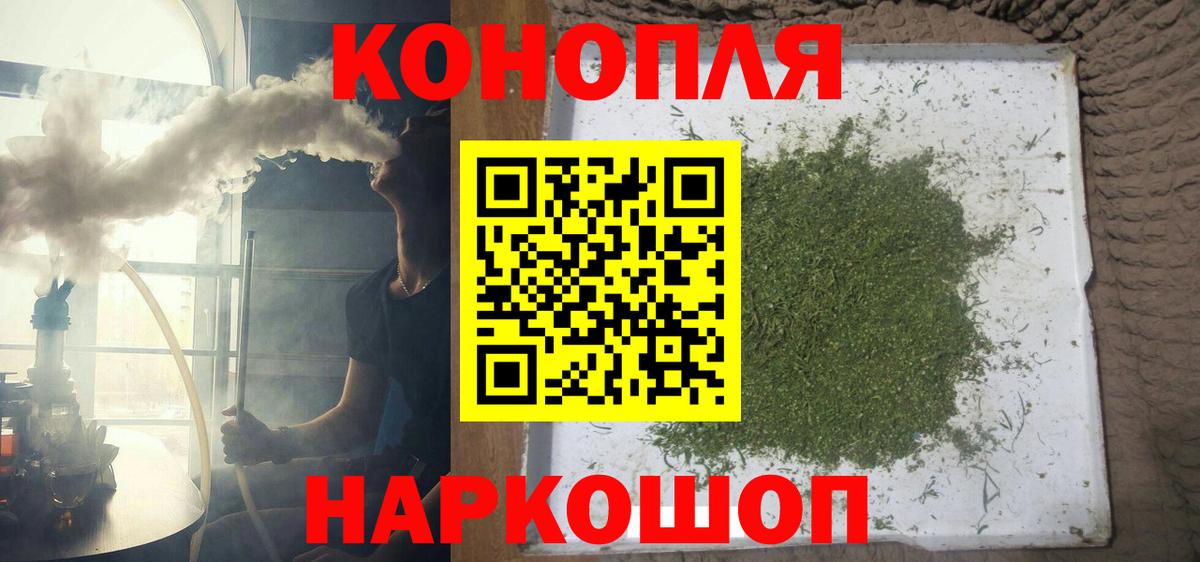APVP Камень-на-Оби